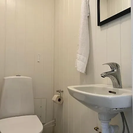 بيت شباب Stetind